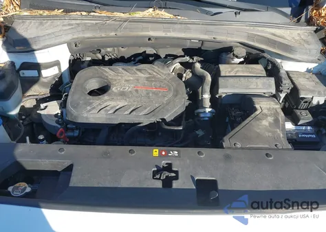 2019 Hyundai Santa Fe Limited 2.0T z USA, uszkodzony, nr VIN 5NMS5CAA5KH013817